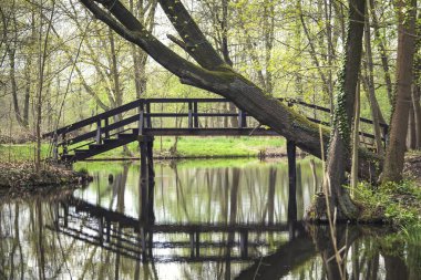 Meşhur Spreewald Biyosfer Rezervi, Brandenburg, Almanya. Spree nehrinin üzerinden tahta bir köprü geçiyor. Bu Spreewald için tipik bir mimari..