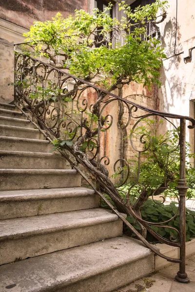 View of a beautiful old backyard, with a stone staircase, southern courtyard.