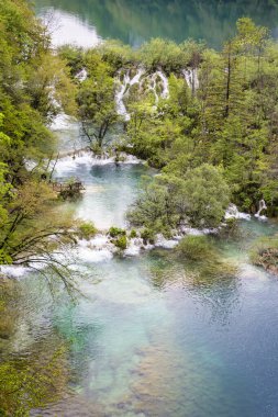Taze İlkbahar. Plitvice Göllerine (Hırvatistan) bakın. 1979 yılında Plitvice Lakes Ulusal Parkı UNESCO Dünya Doğal Mirası bölgesi olarak ilan edildi. Manzara yeşil bir cennete benziyor..