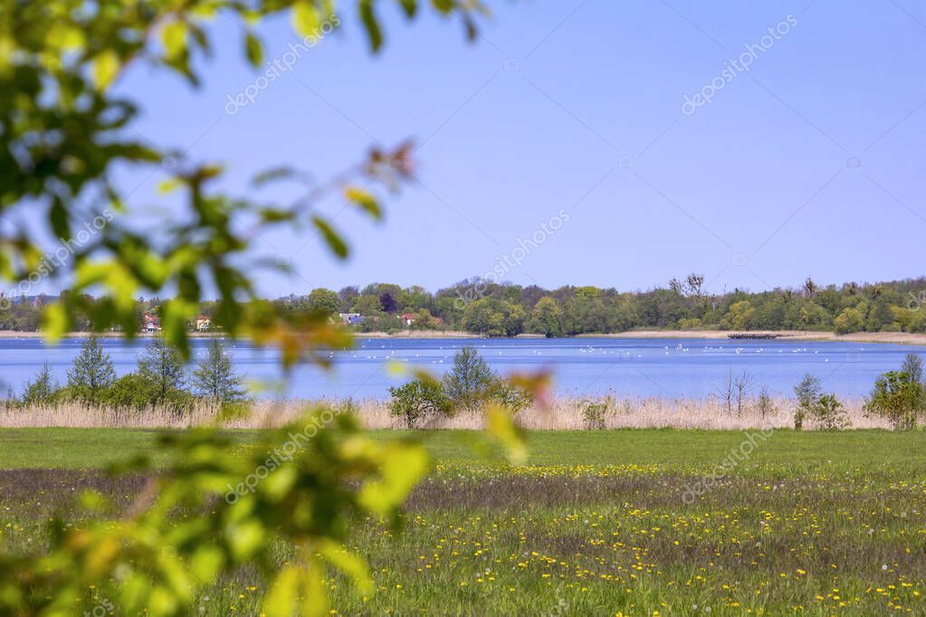 Blankensee