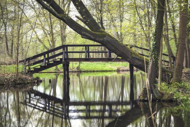 Meşhur Spreewald Biyosfer Rezervi, Brandenburg, Almanya. Spree nehrinin üzerinden tahta bir köprü geçiyor. Bu Spreewald için tipik bir mimari..