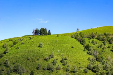 Dağlardaki yeşil tepeye bakın.