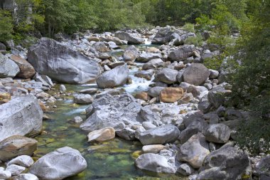 Ticino dağlarında küçük bir dere