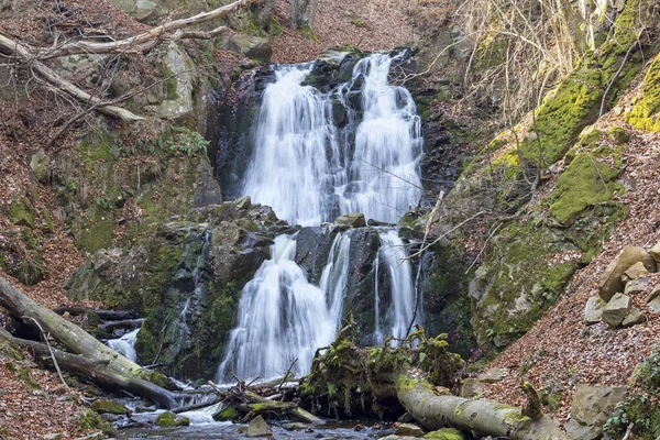 Walking in the Swedish Forsakar Nature Reserve in early springtime. The Forsaker Creek runs through the nature reserve and passes the Forsakar Waterfalls. The vegetation of the Forsaker Nature Reserve is dominated by beech forest.