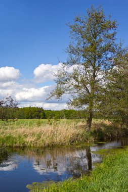 İlkbaharda drenaj hendeği ve çayırları olan bir manzara. Nuthe-Nieplitz Bölgesi, Brandenburg, Almanya.