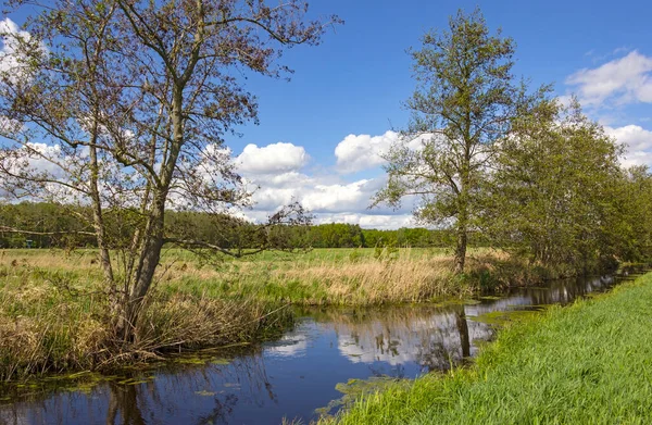 View of a landscape with drainage ditch and meadows in spring. Region Nuthe-Nieplitz, Brandenburg, Germany.