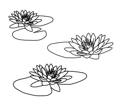 Beyaz arka planda nilüferler. Siluet. Vektör illüstrasyonu.