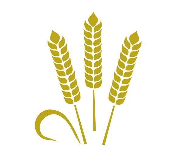 Wheat Ears White Background Harvest Vector Illustration — ストックベクタ