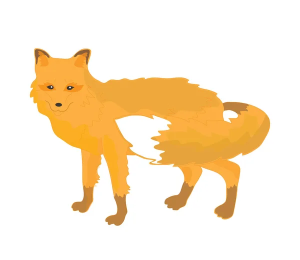 Fox White Background Wildlife Illustration — Stock Photo, Image