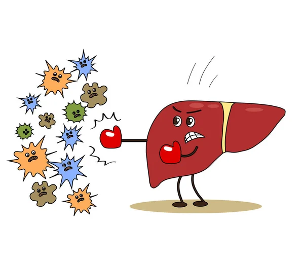 肝臓のボクシンググローブで白い背景に細菌を攻撃します ベクターイラスト — ストックベクタ