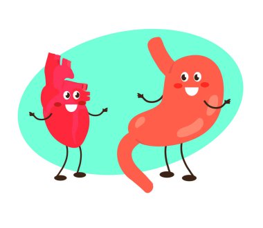 Mavi arka planda sağlıklı bir mide ve kalp. Çizgi film. Vektör illüstrasyonu.