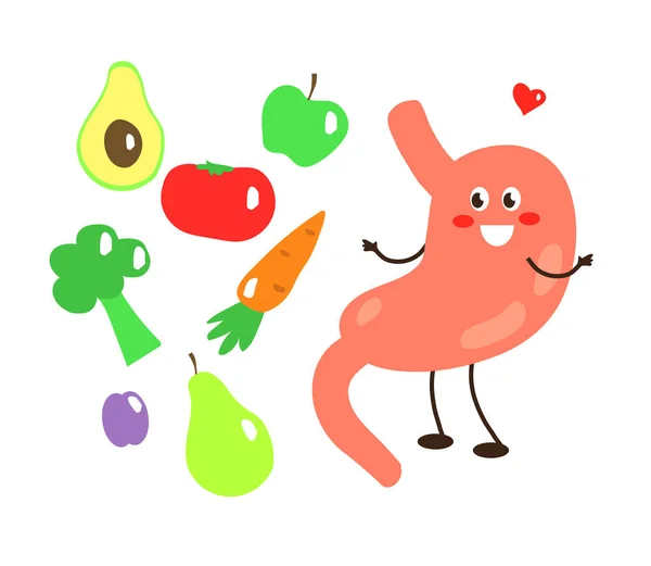 Ventre Légumes Sains Sur Fond Blanc Caricature Illustration Vectorielle — Image vectorielle