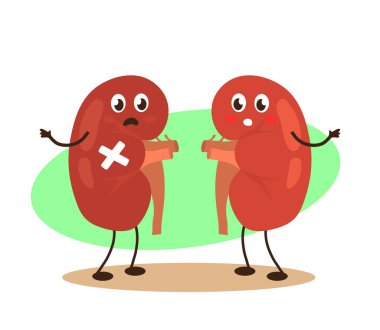 Kidneys on a white background. Problem. Vector illustration. clipart