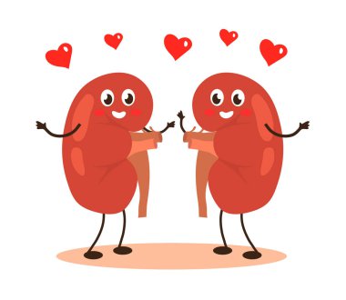 Beyaz arka planda sağlıklı insan böbrekleri. Çizgi film. Vektör illüstrasyonu.