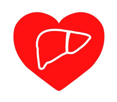 Kırmızı arka planda insan karaciğeri. Sembol. Vektör illüstrasyonu.