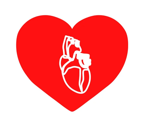 Corazón Humano Sobre Fondo Rojo Símbolo Ilustración Vectorial — Archivo Imágenes Vectoriales