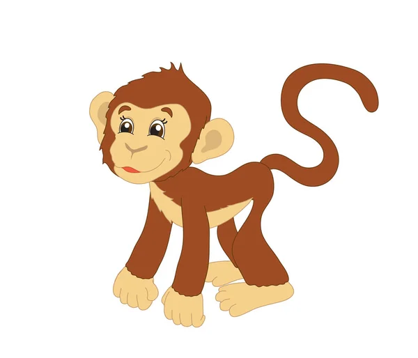 Monkey White Background Cartoon Illustration — Stock Photo, Image