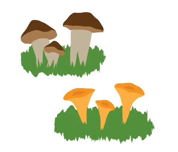 Cogumelos Sobre Fundo Branco Desenhos Animados Ilustração — Fotografia de Stock