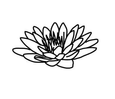 Beyaz arka planda Lotus. Sembol. Vektör illüstrasyonu.