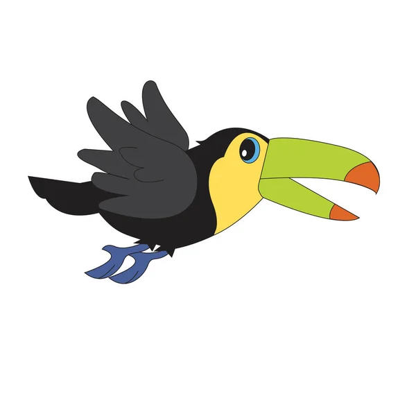 Character illustration toucan. — Stock Vector