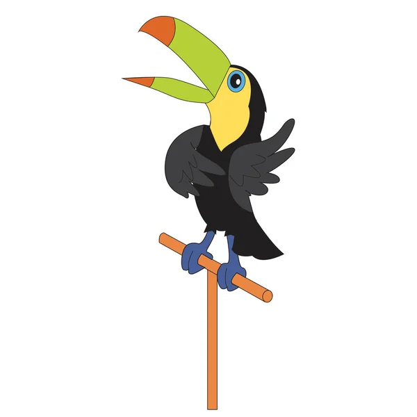 Karakter illustratie toucan. — Stockvector