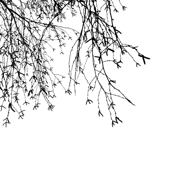 Silhouette de l'arbre . — Image vectorielle