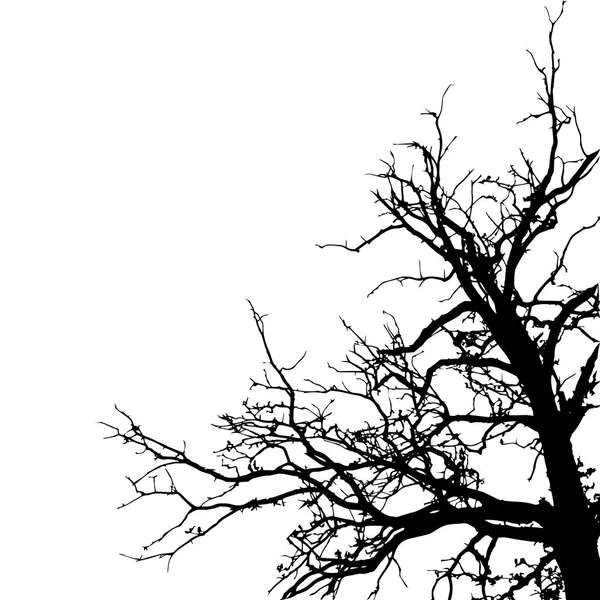 Silhouette de l'arbre . — Image vectorielle