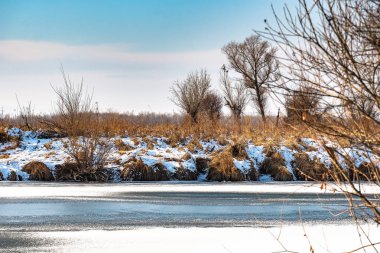 manzara, donmuş nehir kıyısı, ağaçlar ve çimenler karda