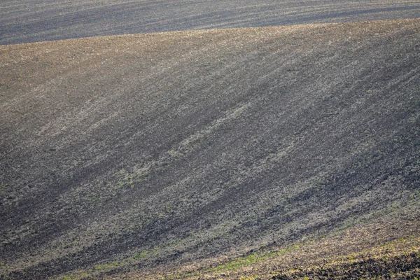 Agricoltura dei campi moravi in Cechia . — Foto Stock