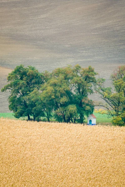 Agrícola de campos de Moravia en Chequia . —  Fotos de Stock