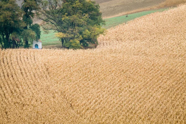 Agrícola de campos de Moravia en Chequia . — Foto de Stock