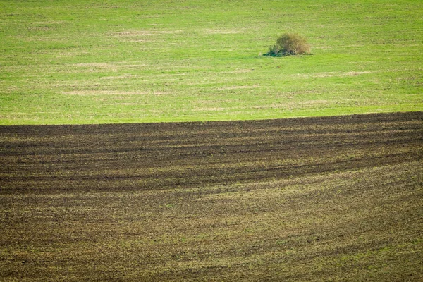 Landwirtschaft von mährischen Feldern in Tschechien. — Stockfoto