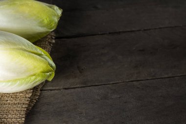 Fresh Belgian witloof