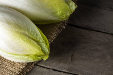 Fresh Belgian witloof