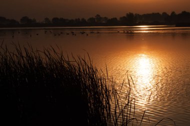 Kırmızı gündoğumu manzara.