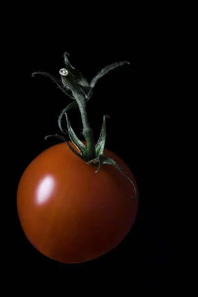 Cherry tomaat geïsoleerd — Stockfoto