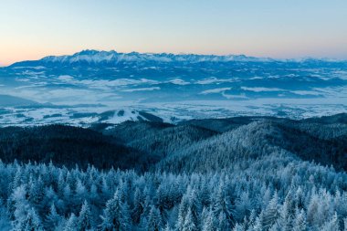 Güzel kış manzarası. 