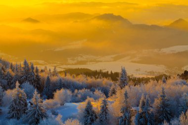 Güzel kış manzarası. 