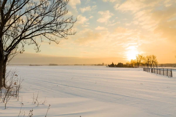 Beau paysage d'hiver. — Photo