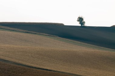 Çek Cumhuriyeti'nde Moravyalı alanları.