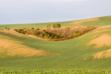 Çek Cumhuriyeti'nde Moravyalı alanları.