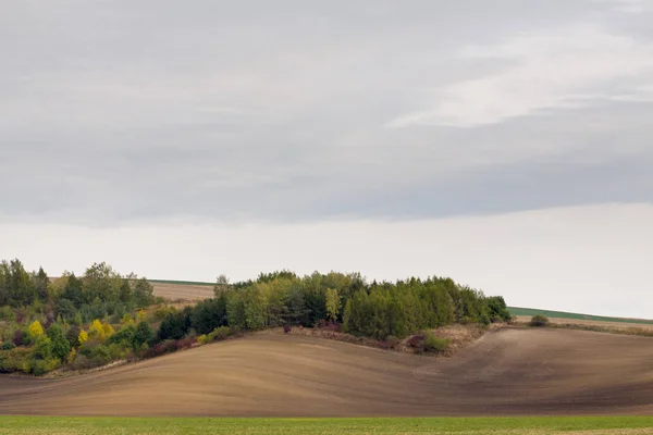 Campos de Moravia en República Checa . —  Fotos de Stock