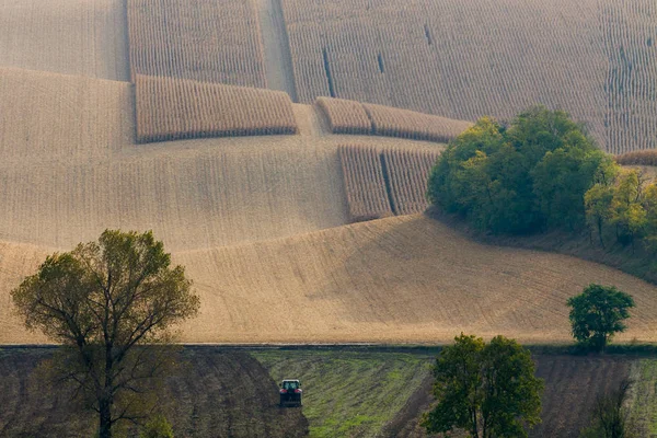 Campos de Moravia en República Checa . —  Fotos de Stock