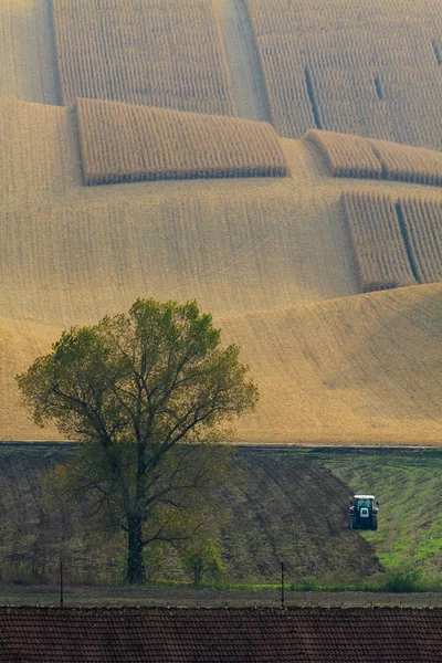 Campos de Moravia en República Checa . — Foto de Stock