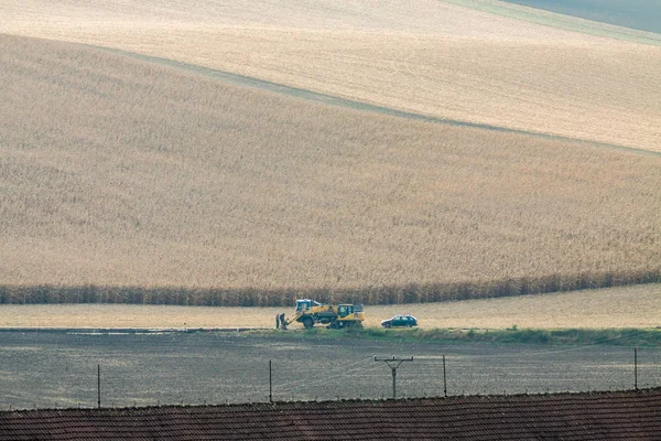 Moravian fields in Czech Republic. — Stock Photo, Image