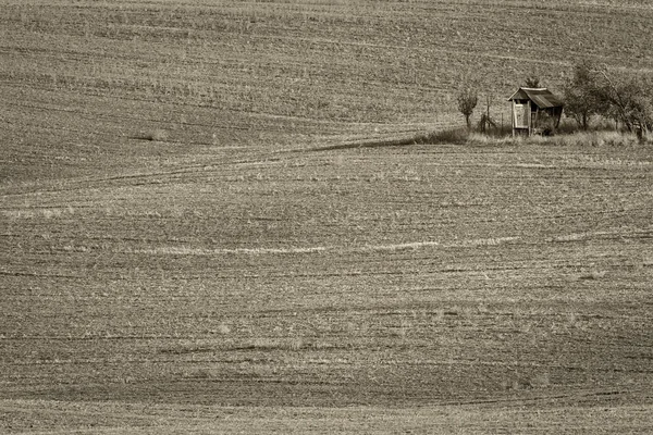 Campos de Moravia en República Checa . — Foto de Stock