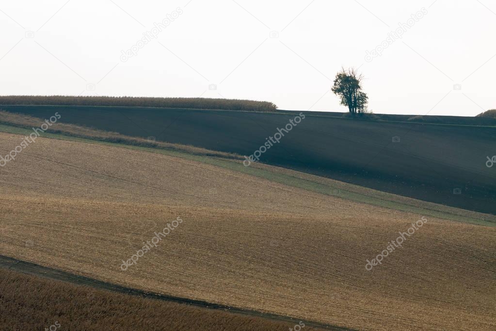 Moravian fields in Czech Republic.