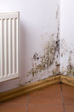Problem with mold in house.  clipart