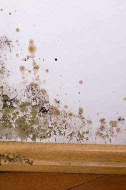 Evde kalıp ile sorun. 