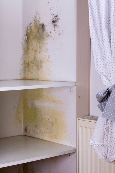 Problem with mold in house. 